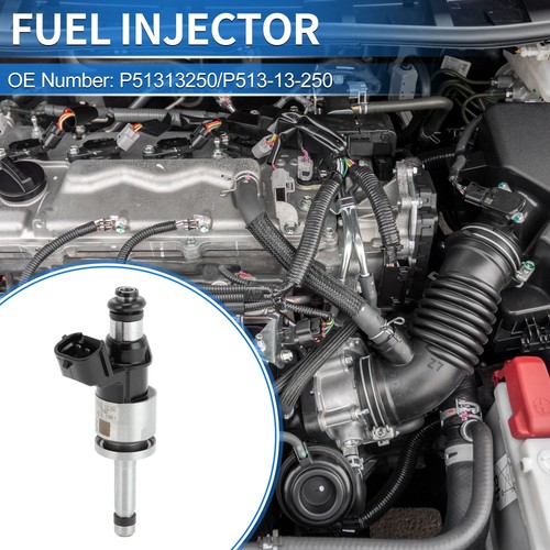 Fuel injector p513 250 - fuel, no.p513-13-250