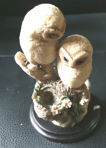 Two barn owlets - "two, perched