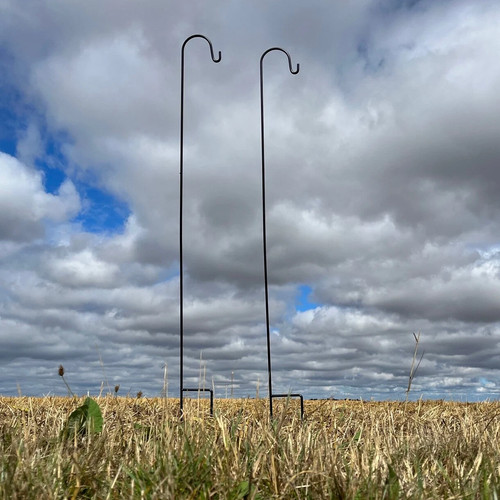 Shepherds crook hooks - crook,
