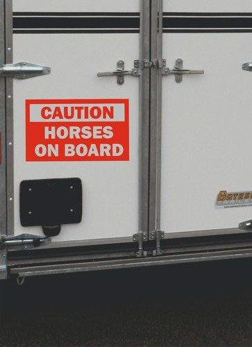 Large horse box - horse,