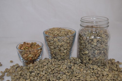 Raw unroasted green coffee - unroasted,