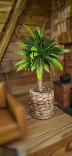 Large dolls house - large, plant