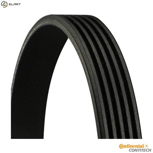 Vribbed belt 5pk736 for - vribbed,