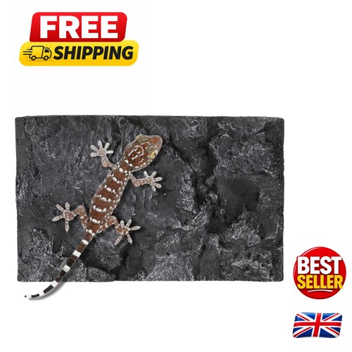 Durable reptile background - durable,