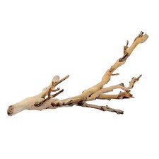 Exo Terra Forest Branches Reptile Vivarium Decor Ornament | 30cm, 45cm, 60cm
