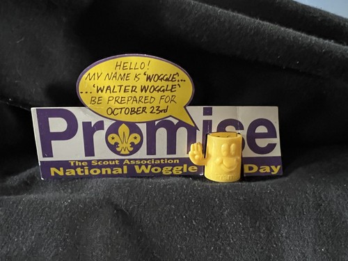 Scouts promise appeal - promise,