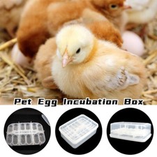 Snake Lizard Reptile Pet