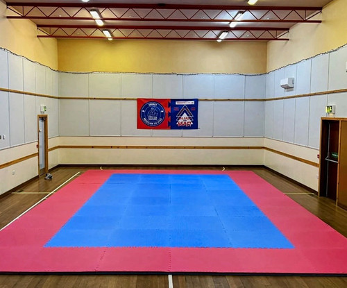 Interlocking foam tatami gym - tatami,