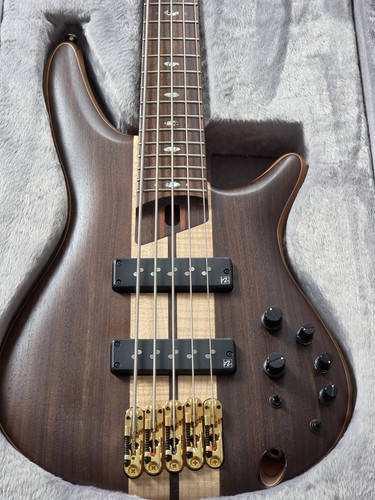 Ibanez premium string bass - ibanez,