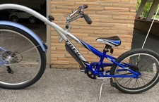 Trek Mountain Train Tag-Along