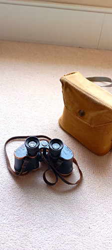 Wwii german cag 6x30 - wwii,