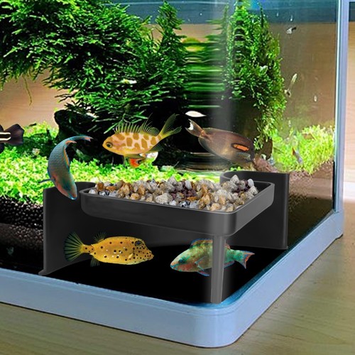 Underground aquarium cave with - underground,