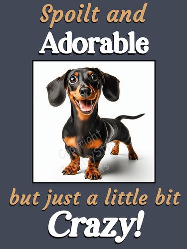 Dachshund dog funny gift - dog,
