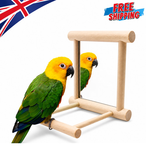 Wooden bird mirror interactive - mirror,