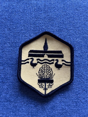 Shere and peaslake scout - shere,
