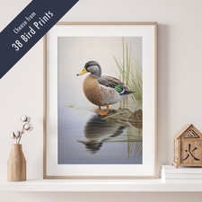 Wild Bird Print – 38