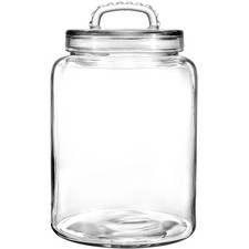 Daitouge 3 Gallon Glass Jar