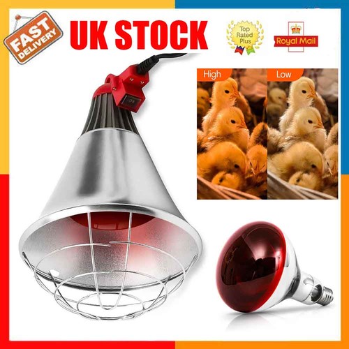 Infrared heat lamp poultry - infrared,
