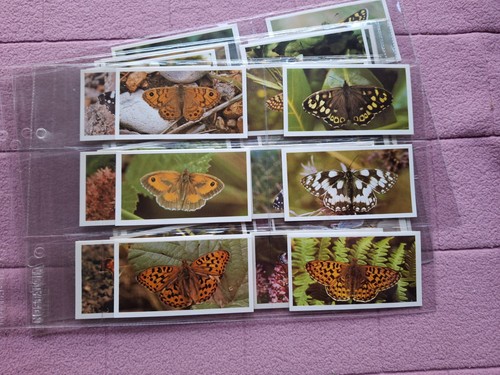 Complete set doncella - set,