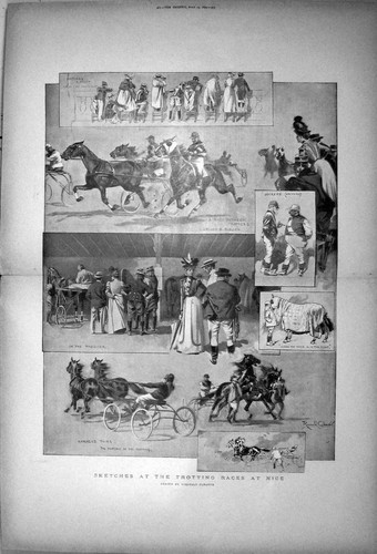 Old 1899 horses - old,