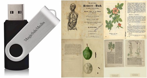 Herbs botany botanica plants - herbs,