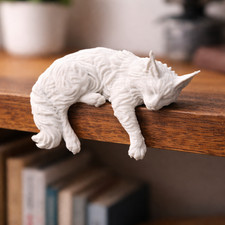 Sleeping Maine Coon Cat | 3D