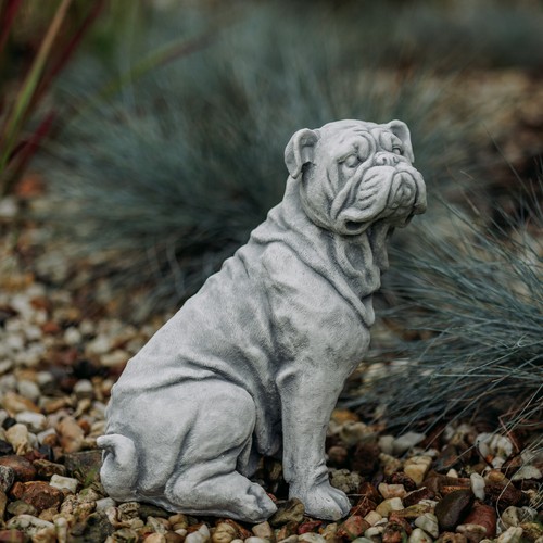 English bulldog dog bully - english,