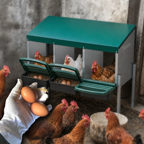 Roll out chicken - out, box