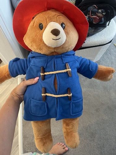 Paddington bear large teddy - bear,