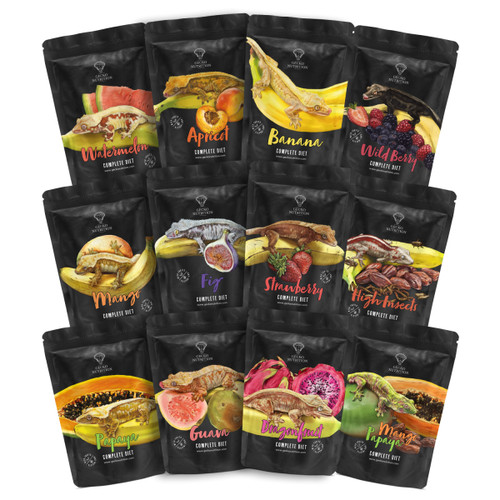 Gecko nutrition complete - gecko,