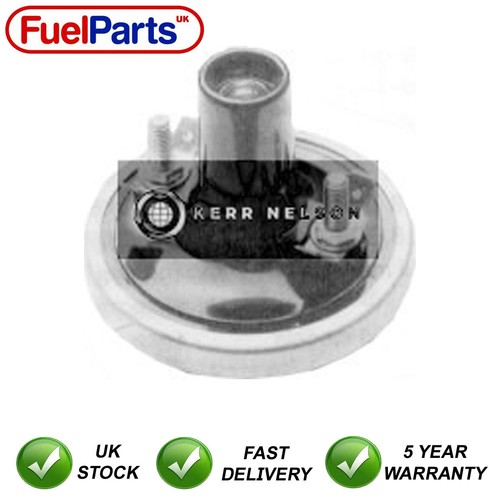 Kerr nelson ignition - kerr,