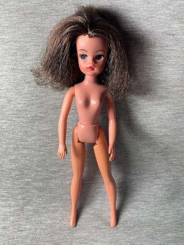Pedigree sindy brunette - pedigree,