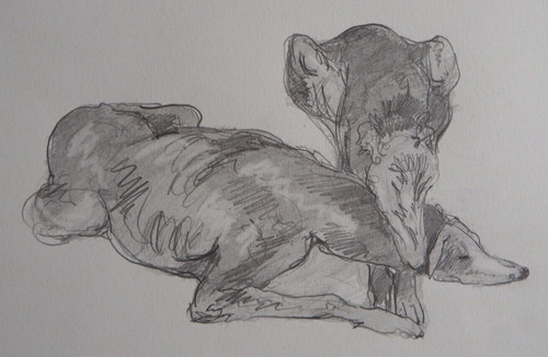 Pen ink drawing sketch after - &,