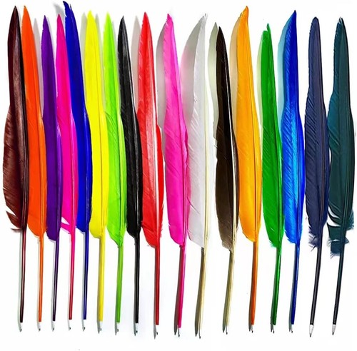17pcs goose feather pen - feather,