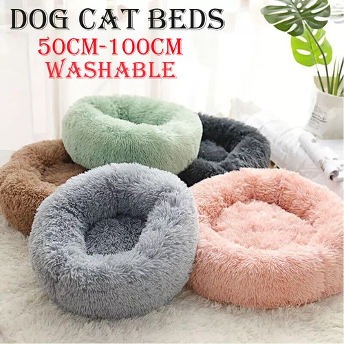 Extra large dog cat pet - large,