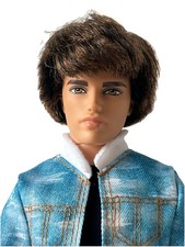 Barbie Life In The Dream House Ken doll standard body, rooted hair 