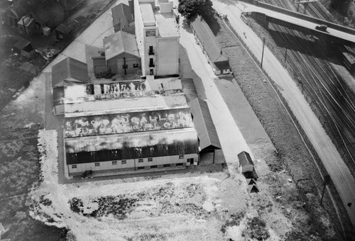 Mcdougall flour mills - mcdougall's,