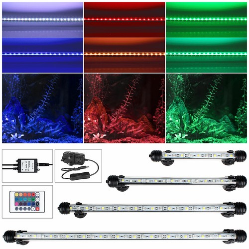 Aquarium fish tank 5050 - fish, rgb