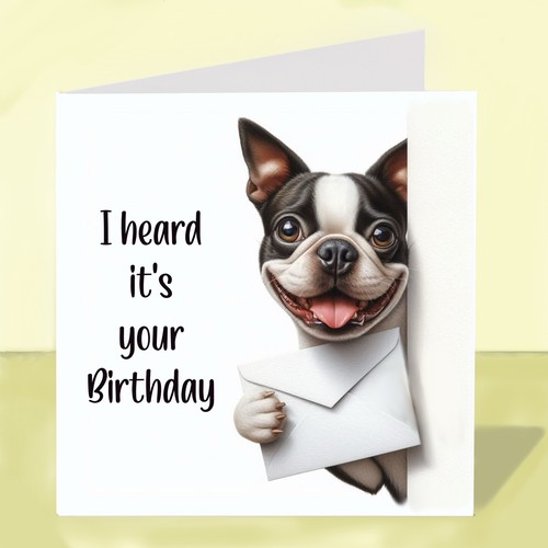 Boston terrier dog birthday - boston,