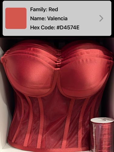 Stunning transparent mesh - 31,
