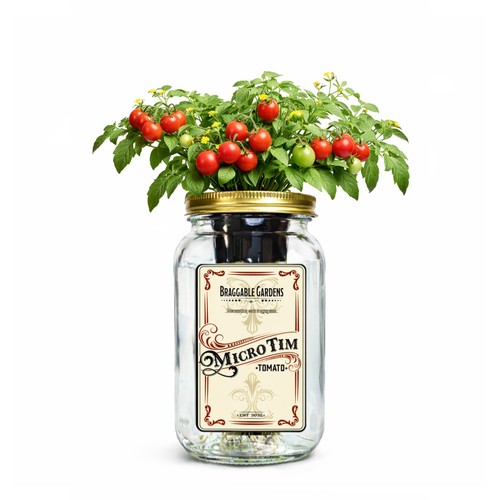 Micro tim cherry tomato kit - cherry,