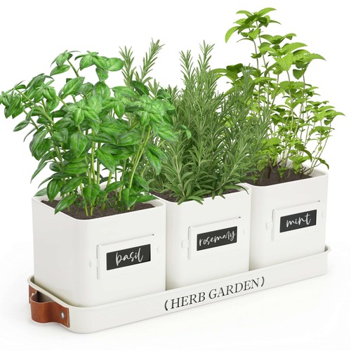 Perfnique indoor herb garden - herb,