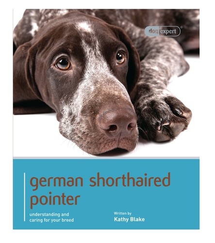 German shorthaired pointer - shorthaired,
