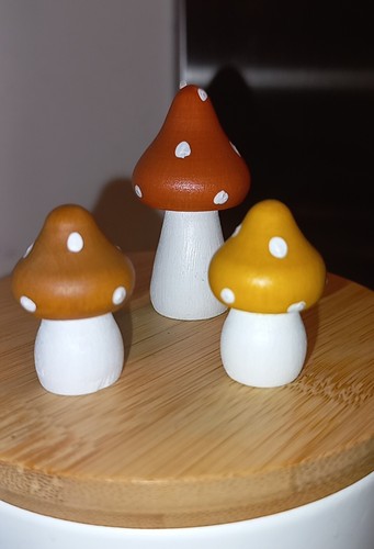 Handmade wooden mushroom set - wooden,