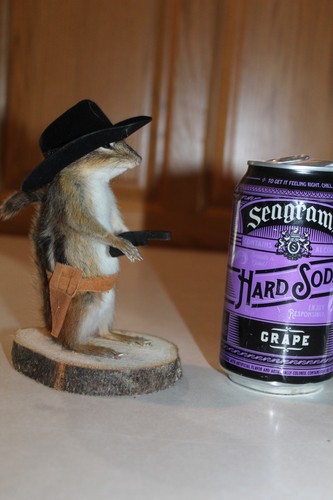 New taxidermy cowboy chipmunk - new,