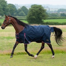 Gallop Trojan / Ponie Duraproof 50g Horse Turnout Rug, Std Neck Lightweight Rug