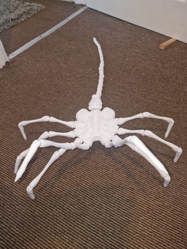 Life size alien face - life,