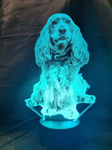Spaniel acrylic led - spaniel, lamp