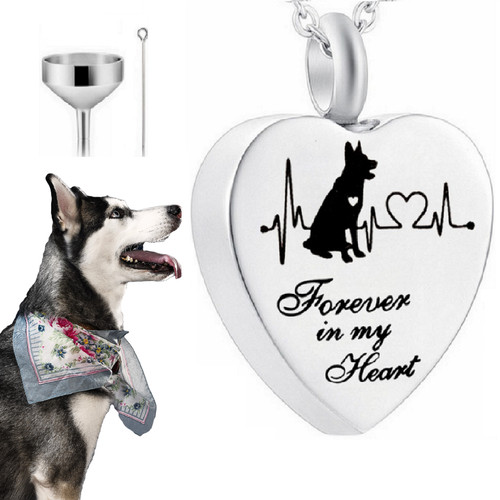 Dog lost heart - lost,