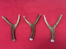 3 PIECES OF SIKA DEER ANTLERS, Y SHAPED FOR SLINGSHOT, WALKING STICKS ARTS (132)